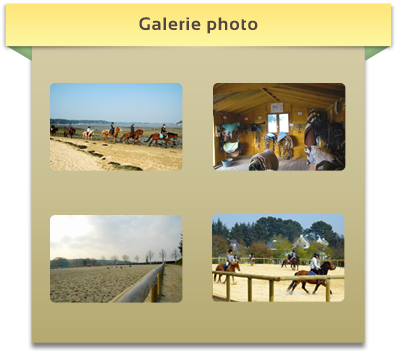 Gallerie photos du centre équestre de Baden en Bretagne, Morbihan