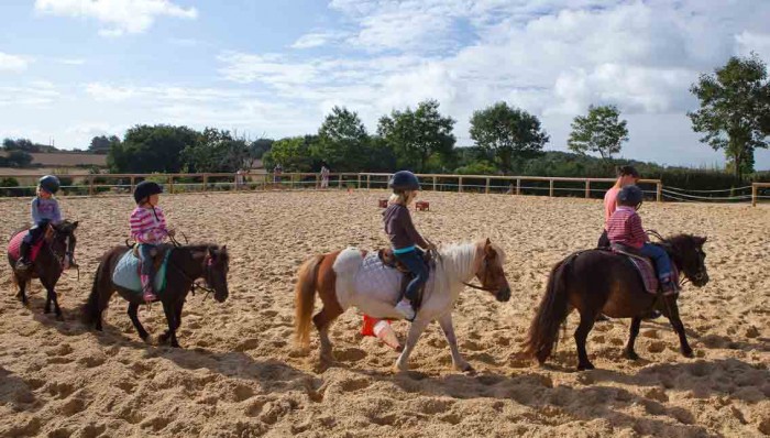 Baby poney Morbihan Du Baby poney au centre équestre de Baden en Morbihan