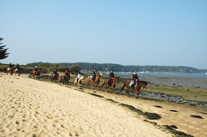 Balade à cheval sur la plage Balade à cheval sur la plage