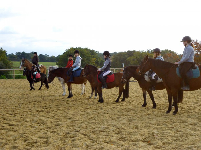 Cavalerie Morbihan Baden Cavalerie du centre équestre de Baden en Morbihan