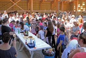 Concours interne hippique au Centre Équestre de Baden