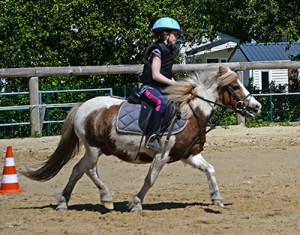 Stage d'équitation pendant les vacances de Février 2015