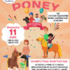Fête du poney dimanche 11 juin