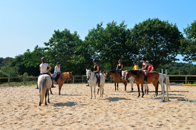 Stage d'équitation en été au centre équestre de Baden