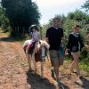Promenade à poney accompagnée par les parents
