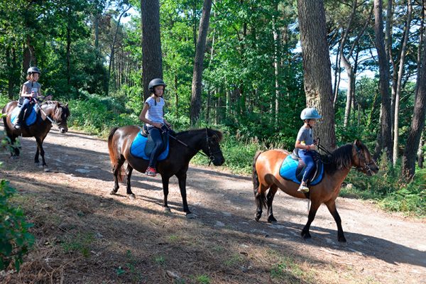 Balade encadrée sur les sentiers du domaine Mané Guernehué