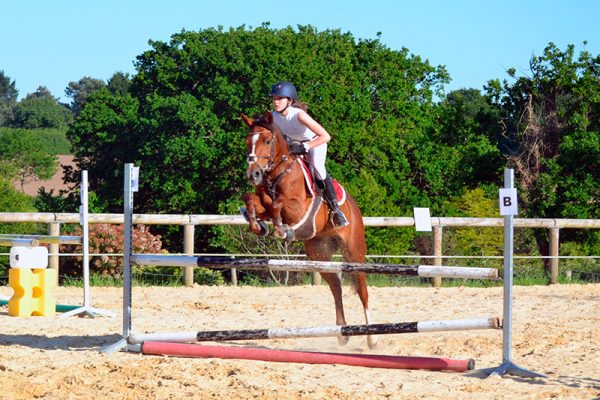 Saut d'obstacle stage d'équitation