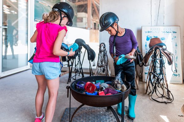 centre-equestre-preparatifs-800px