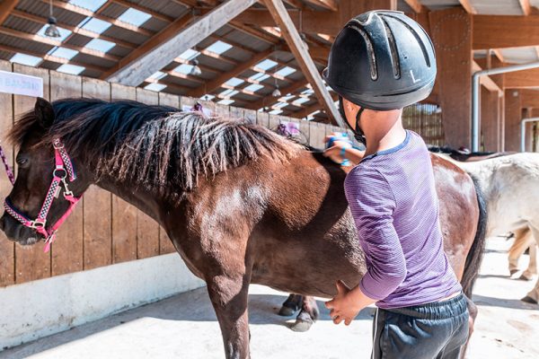 Stage d'équitation soins aux poneys