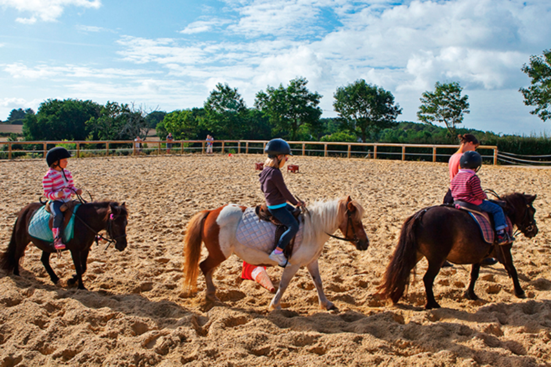 Centre Equestre Mané Guernehué Baden Golfe du Morbihan PoneyCarrière en sable