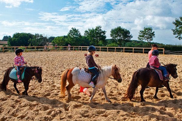 centre_equestre_manege-800px