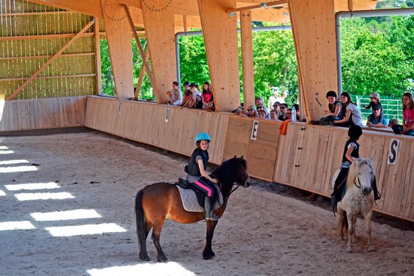 Stage d'équitation dans le manège couvert