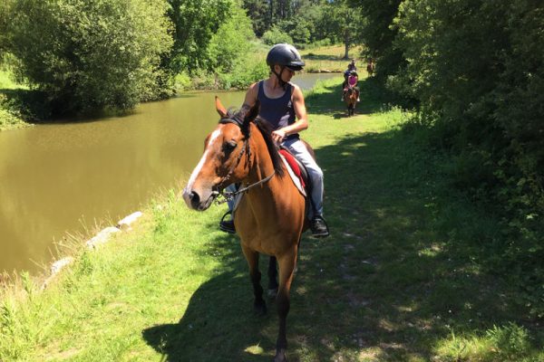 Centre équestre Mané Guernehué Baden Golfe du Morbihan balades et promenades