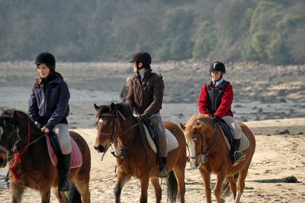 Balade encadrée découverte du Golfe