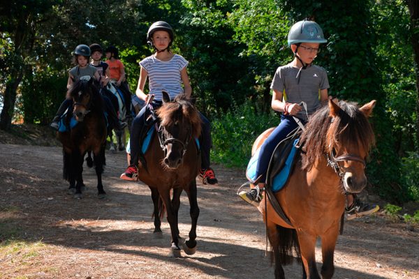 Balades en famille ou entre amis pour tout âge et tout niveau dans le Golfe du Morbihan