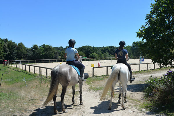 Cours d'équitation en carrière