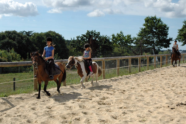 Cours d'équitation par petits groupe