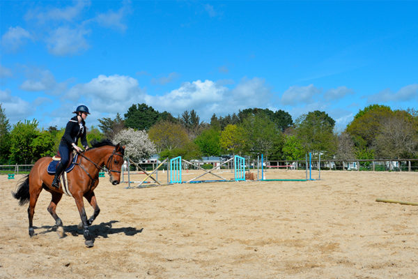 Cours d'équitation en carrière