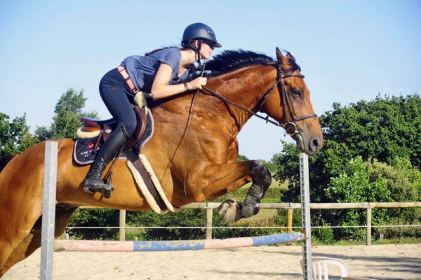 Saut d'obstacle pendant l'entrainement à Mané Guernehué