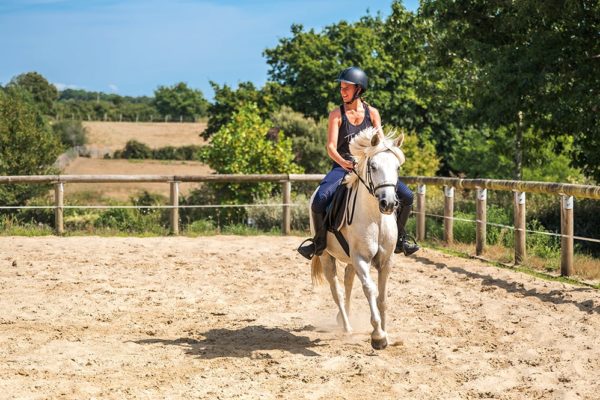 Équitation dans le manège