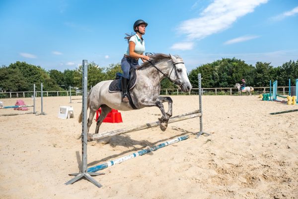 Saut d'obstacle © Mathieu ESNAULT Morbihan Tourisme