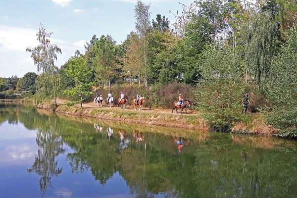 Balade à poney pour les débutants