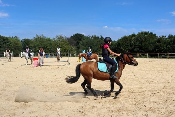 Au galop dans la carrière