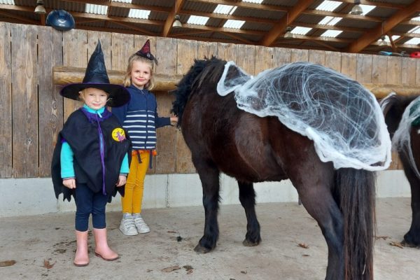 Fête d'Halloween au centre équestre Mané Guernehué