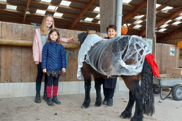 Fête d'Halloween au centre équestre Mané Guernehué