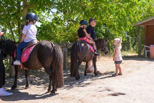 Les enfants adorent les poneys